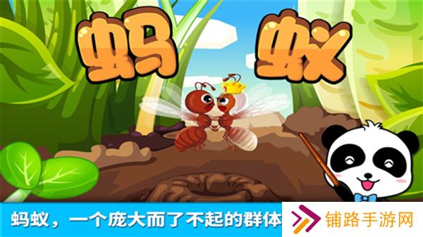 宝宝认蚂蚁