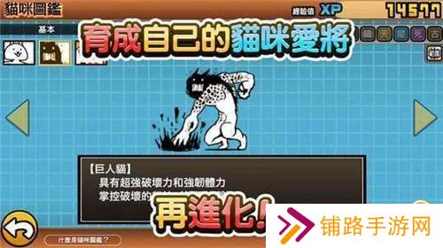 猫咪大战争