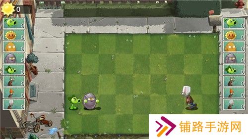 植物大战僵尸双人版