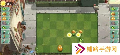 植物大战僵尸双人版