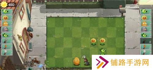 植物大战僵尸双人版