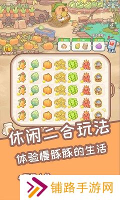 慢豚豚的生活游戏