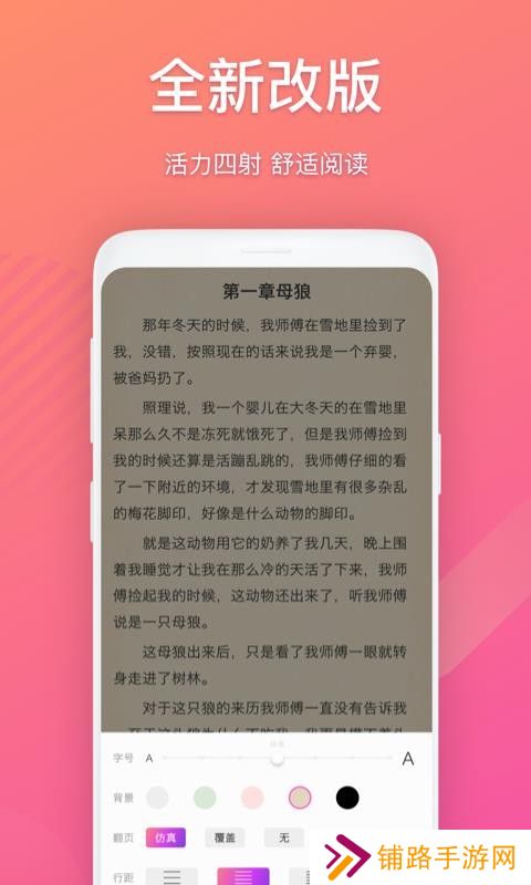 布偶免费小说