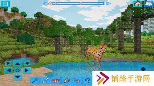 探索迷你地球