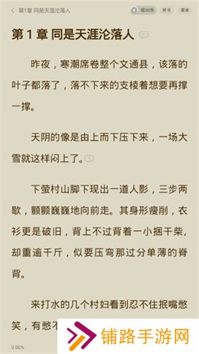 盛读小说