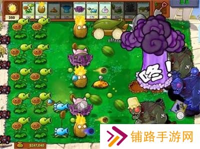 植物大战僵尸杂交版官网