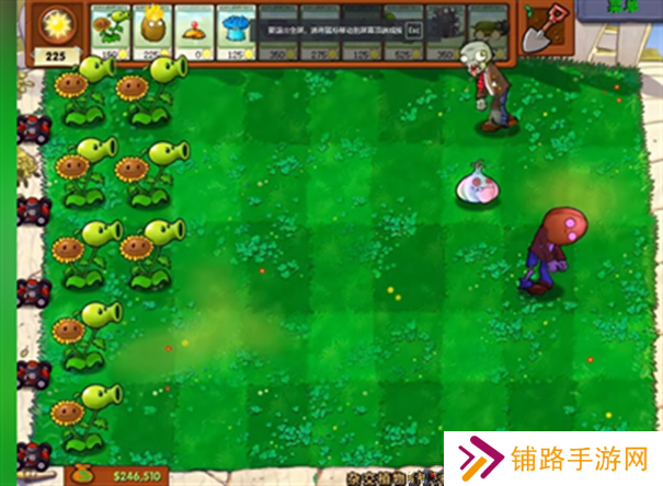 植物大战僵尸杂交版官网