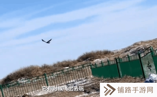 极乐软件园