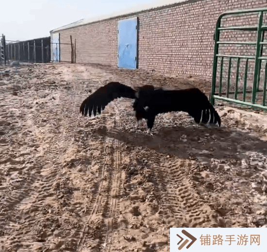 极乐软件园