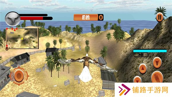 老鹰模拟器正版
