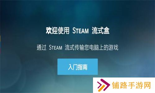 Steam link