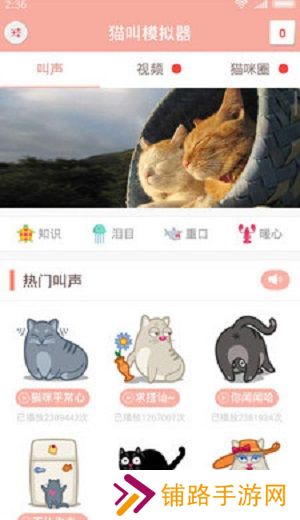 猫叫模拟器