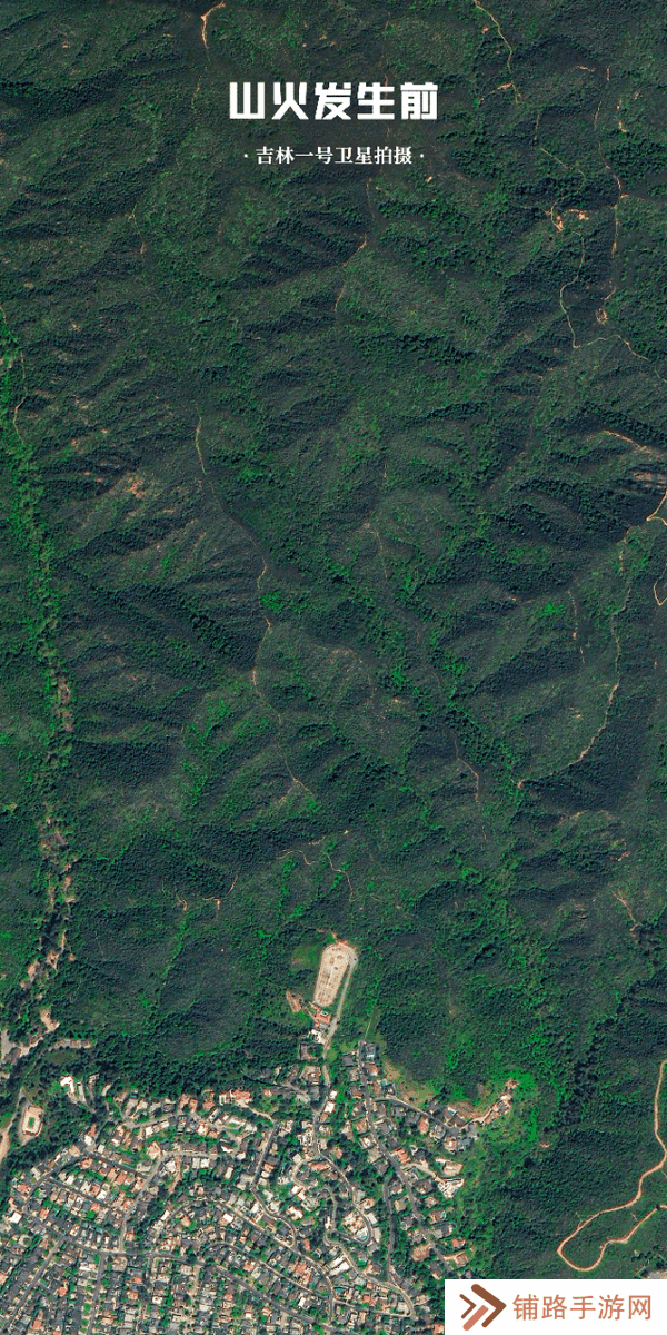 极乐软件园