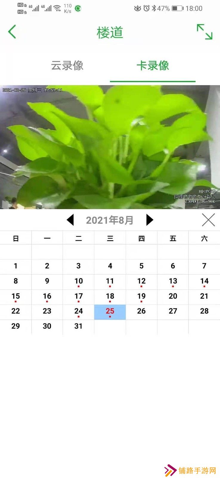 Seetong手机版