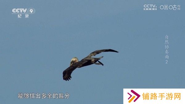 趣看仓box