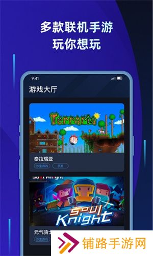 蒲公英联机平台老版本