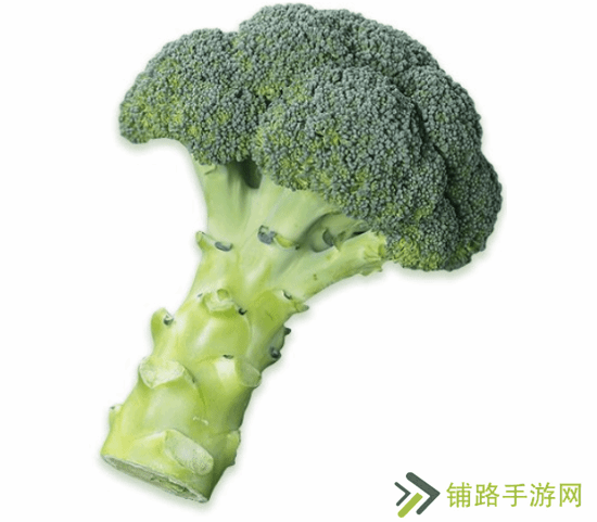 极乐软件园
