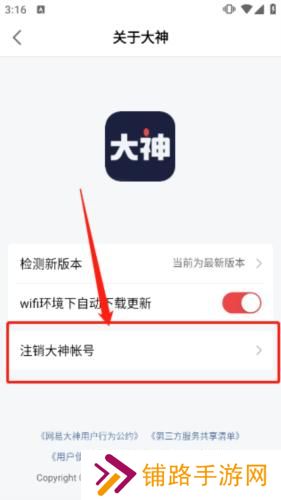 网易大神安装包