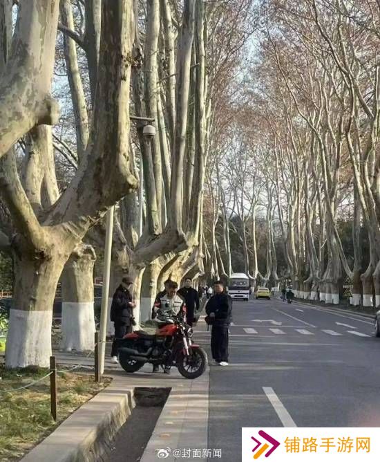 极乐软件园