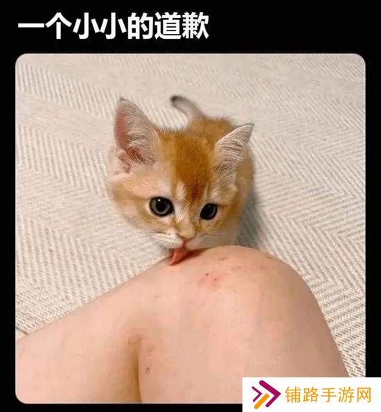 极乐软件园