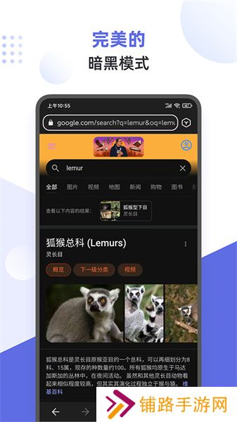 狐猴浏览器手机版
