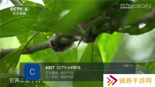 前线电视