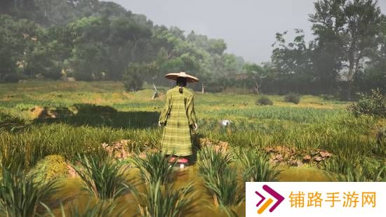 极乐软件园