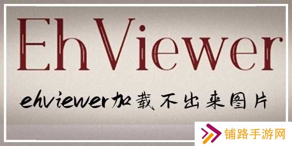 EHVIEWER第三方版 无法加载图片示例1