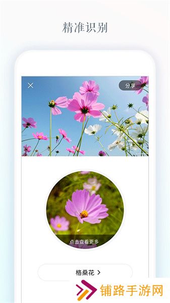 识花