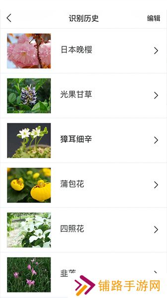 识花